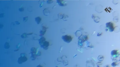 Impact of Solid-state in Early Development